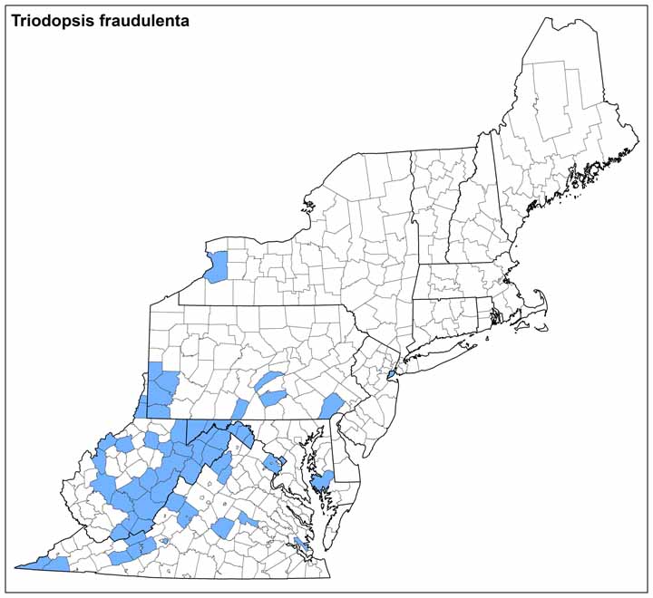 Triodopsis fraudulenta Range Map